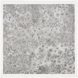 Tara Donovan, Untitled, 2010, Pin head matrix relief print, on Hahnemühle paper, with full margins