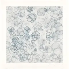 Tara Donovan, Untitled IV, 2004, Etching, on Hahnemühle paper, with full margins