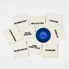 Jack Goldstein, A Suite of Nine 7-Inch Records with Sound Effects, 1976, The complete set of nine 45 RPM vinyl records, all contained in the original paper sleeves and cardboard sleeves with printed titles, all contained in the original black leather-bound slipcase