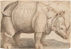 Albrecht Durer, Rhinoceros, circa mid- to late 16th/early 17th century, Iron-gal ink drawing and wash, on laid paper with a crossbow in a circle and trefoil watermark (similar to Piccard online AT3800-PO-123862), unframed