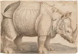 Albrecht Durer, Rhinoceros, circa mid- to late 16th/early 17th century, Iron-gal ink drawing and wash, on laid paper with a crossbow in a circle and trefoil watermark (similar to Piccard online AT3800-PO-123862), unframed