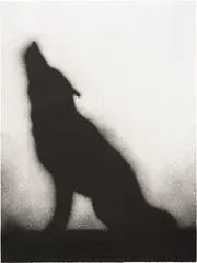 Ed Ruscha, Coyote (E. 169), 1989, Lithograph, on wove paper, the full sheet