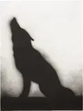 Ed Ruscha, Coyote (E. 169), 1989, Lithograph, on wove paper, the full sheet
