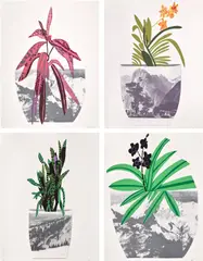 Untitled by Jonas Wood, 2014, The complete set of four lithograph and multicolor screenprints, on white Coventry Rag paper, the full sheets, sold Apr 2026