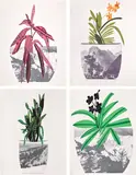 Jonas Wood, Untitled, 2014, The complete set of four lithograph and multicolor screenprints, on white Coventry Rag paper, the full sheets
