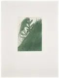 Arnulf Rainer, Eichenblatt (Oak Leaf), from For Joseph Beuys, 1986, Etching in colors, on Rag paper, with full margins