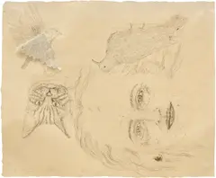 Kiki Smith, Ginzer and the Birds (W. 77), 1996, Lithograph with collage, on machine-made Japanese paper, the full sheet