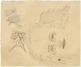Kiki Smith, Ginzer and the Birds (W. 77), 1996, Lithograph with collage, on machine-made Japanese paper, the full sheet