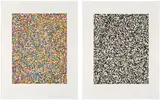 Tauba Auerbach, A Half Times A Half Times A Half (Coarse); and 50 50 Random (Coarse), 2008, Two etching and aquatints, one in colors and one in black, on Somerset paper, with full margins