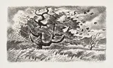 Charles E. Burchfield, Autumn Wind (C. 15), 1952, Lithograph, on wove paper, with full margins