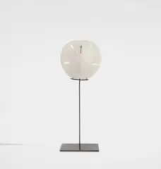 Carol Bove, Untitled, 2009, Multiple comprised of shell and brass stand