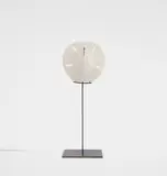 Carol Bove, Untitled, 2009, Multiple comprised of shell and brass stand