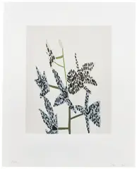 Jonas Wood, Untitled, 2015, Screenprint in colors, on Arches 88 paper, with full margins