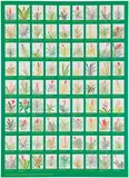 Jonas Wood, Aechmea Bromeliad Poster, 2022, Lithograph in colors on wove paper