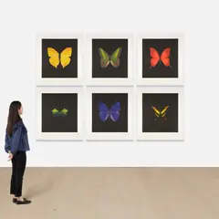 Damien Hirst, The Souls on Jacob’s Ladder Take Their Flight, 2007, The complete set of six aquatint and photogravures in colors, on Arches paper, with full margins, the colors bright and fresh