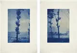 Seton Smith, From One Tree; and To Another, 1990-99, The complete set of two photogravure and aquatints, on thin Rives BFK wove paper, with full margins