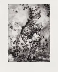 Things As They Are, from Rush 20th Anniversary Print Portfolio by Florine Démosthène, 2015, Inkjet print, on wove paper, with full margins, sold Jun 2026