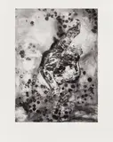 Florine Démosthène, Things As They Are, from Rush 20th Anniversary Print Portfolio, 2015, Inkjet print, on wove paper, with full margins