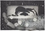 Kiki Smith, Worm