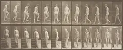 Eadweard Muybridge, Female Nude Ascending a Staircase, plate 98, from Animal Locomotion: An Electro-Photographic Investigation of Consecutive Phases of Animal Movements, 1887, Collotype, on two-toned wove paper, with full margins
