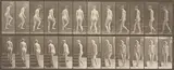 Eadweard Muybridge, Female Nude Ascending a Staircase, plate 98, from Animal Locomotion: An Electro-Photographic Investigation of Consecutive Phases of Animal Movements, 1887, Collotype, on two-toned wove paper, with full margins