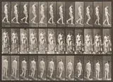 Eadweard Muybridge, Female Nude Descending a Plank, plate 117, from Animal Locomotion: An Electro-Photographic Investigation of Consecutive Phases of Animal Movements, 1887, Collotype, on two-toned wove paper, with full margins
