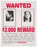 Elaine Sturtevant, Duchamp Wanted