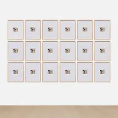Sherrie Levine, After Courbet: 1-18, 2009, The complete set of 18 postcards of Gustave Courbet's L'Origine du monde , with full margins, all contained in the original artist's frames