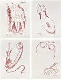 Man Ray, Il Reale Assoluto: four plates (The Absolute Reality) (A. 74D, 74E, 74G & 74L)