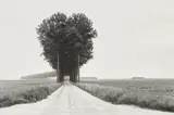 Henri Cartier-Bresson, Brie, France, 1968, Gelatin silver print, printed later