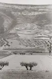 Castille, Spain by Henri Cartier-Bresson, 1955, Gelatin silver print, printed 1984, sold Apr 2026