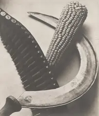 Tina Modotti, Bandolier, Corn, Sickle, 1927, Gelatin silver print