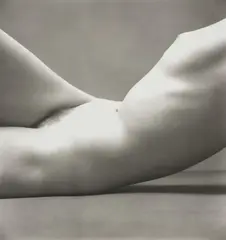 Nude 40 by Irving Penn, 1949-1950, Gelatin silver print, printed 1949-1950, sold Apr 2026