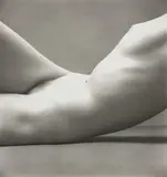 Irving Penn, Nude 40, 1949-1950, Gelatin silver print, printed 1949-1950