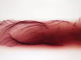 Freischwimmer 123 by Wolfgang Tillmans, 2004, Chromogenic print, flush-mounted and mounted again, sold Apr 2026