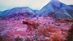 Richard Mosse, Everything Merges with the Night, 2015, Chromogenic print