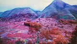 Richard Mosse, Everything Merges with the Night, 2015, Chromogenic print