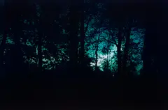 Elger Esser, Giverny VIII, Frankreich, France, 2010, Chromogenic print, printed 2011, flush-mounted and mounted again