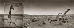 Quarry with Giraffe by Nick Brandt, 2014, Archival pigment print, printed 2016, offered Apr 2026