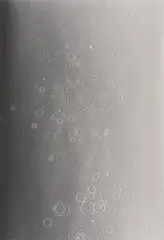 Adam Fuss, Untitled, 2007, Unique gelatin silver print