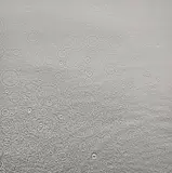 Adam Fuss, Untitled