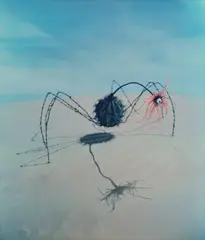 Tim Burton, Spider, 1994, Unique Polaroid print