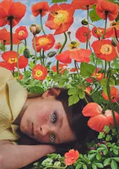 Ruud van Empel, Dawn #3, 2008, Dye destruction print, Diasec mounted