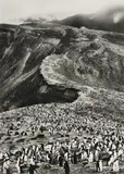 Sebastião Salgado, Bailey Head, Deception Island, Antarctic Peninsula, 2005, Gelatin silver print