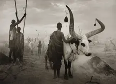 Sebastião Salgado, Dinka Group at Pagarau Cattle Camp, Southern Sudan, Africa, 2006, Gelatin silver print