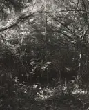 Robert Adams, Cape Blanco, Curry County, Oregon