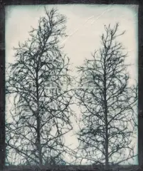 Blot Out the Sun #5 by Doug Starn and Mike Starn, 1998-1999, Lysonic inkjet prints on Thai mulberry and tissue papers with wax and encaustic, sold Apr 2026