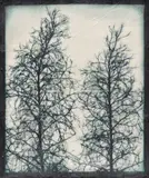 Doug Starn and Mike Starn, Blot Out the Sun #5, 1998-1999, Lysonic inkjet prints on Thai mulberry and tissue papers with wax and encaustic