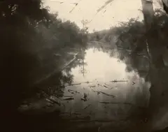 Untitled #13 from Deep South by Sally Mann, 1998, Gelatin silver print, toned with tea, printed 2001, sold Apr 2026