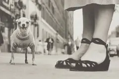 Elliott Erwitt, New York City, 1946, Inkjet print, printed later